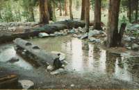 Flooded campsite at Rosemarie Meadows